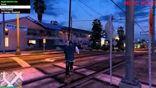 GTA V PC MODS-Mayhem Mod