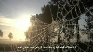 Draden ( Wire )  Gedicht en Beeld