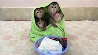 4 Siblings Sit Hugging Each Other Very WELL-BEHAVED Waiting Mom To Come & Warming Up For Them,