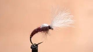 Isonychia Smoke Jumper