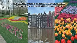 Exploring Tulips, Canals & Dutch Charm | Amsterdam + Keukenhof in 1 Day! | Netherlands Travel Guide
