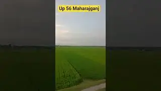 up 56 Maharajganj 😎😎😎/#shorts/#vlog