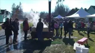 BC Forest Discovery Centre: 5th Annual West Coast Bigleaf Maple Syrup Festival
