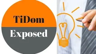 TiDom Inc | Review and Resources