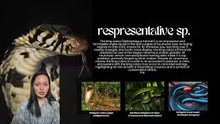 Elapidae