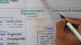 Lec # 8 - Plant Like Protists ( Characteristics Of Algae & Its Classification