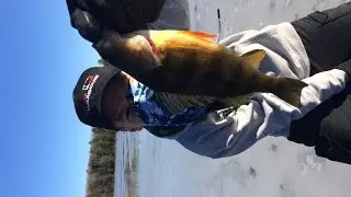 Ice fishing, and nasty smoothies!