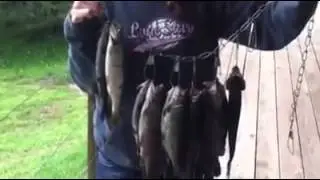 Busch Mountain Fishing Guide Service