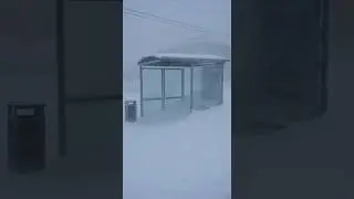 The Blizzard Froze Everything