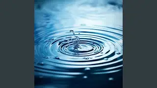 Tranquil Waterside Escape with Harmony Tune