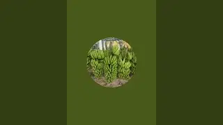 smn sítio terra nova  está ao vivo!