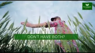 Eco Landmark Realty - Video 4