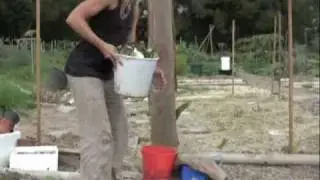 Inga's Free Range Worm Farm