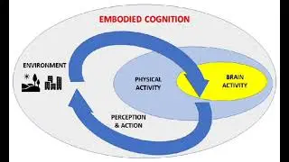 Embodied Cognition: The Intriguing Connection between Mind and Body