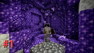 Minecraft Amethyst Farming #1