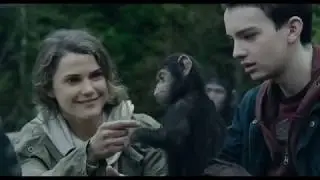 Breaking the Habit- Dawn of the Planet of the Apes Tribute