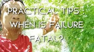 PRACTICAL TIPS : WHEN IS FAILURE FATAL? || AMPALAYA / BITTER GOURD LAND PREPARATION PROBLEMS