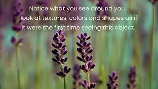 Self Check In - 5 Minute Meditation