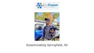 Exterminating Springfield, NJ - EcoFusion Pest Control