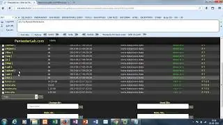 Web For Pentester File Include Example 2 Solution