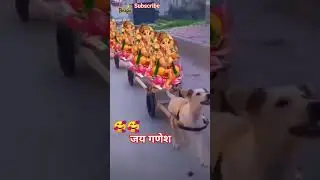 🥰🥰🙏 Shankar ji ka beta gadi mein baitha 🌺❤️short video 🙏🙏