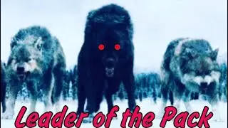 LilWolf - Leader of the Pack