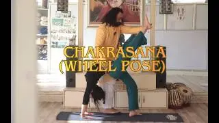 Chakrasana (Wheel Pose) &ndash; Step by Step Journey  - Om Shanti Om Yoga Ashram