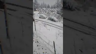 अजनबी कौन हो तुम ❤️ #snow#snowfall#shimla#kullu#manali#nature#view#viral#youtube#ytshorts#shorts#yt