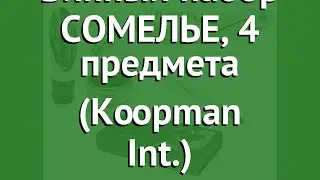 Винный набор СОМЕЛЬЕ, 4 предмета (Koopman Int.) обзор 170302180