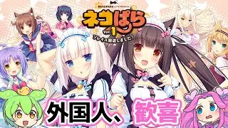 何が猫ミームだこっちはネコぱらだぞ【VOICEVOX】