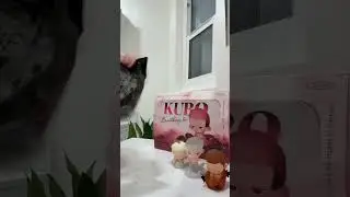 Popmart Kubo Breathing in #kubo #popmart #unboxing #art #toys #toy