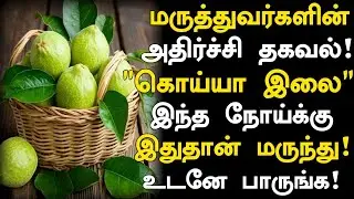 கொய்யா பழம் தினமும் சாப்பிட்டால் நடக்கும் அதிசயம்!|Guava Health Benefits in Tamil| Guava | Nalam 360