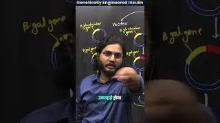 Understand Genetically Engineered Insulin in simple language #biowings