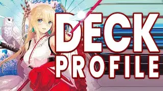 MINERVA - A Comprehensive Guide for Standard