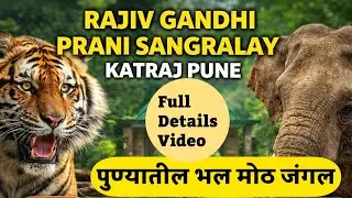 Don't Visit Katraj Zoo Before Watching This! ❌ (Honest Review)