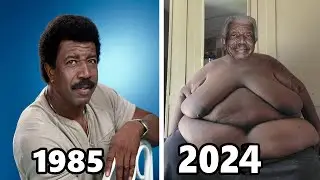 227 (1985-1990) Cast Then and Now 2024, Some Actors Tragically Passed Away!