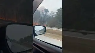 Forest Fire 🔥 Just Highway Things. #automobile #music #travel #road #nature #whatsappstatus #love