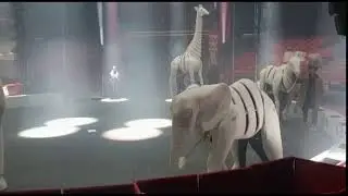 Puppets in the Circus Ring