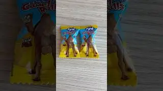 I TRIED CAMEL BALLS BUBBLE GUM #fini #camelballs #gum #funny