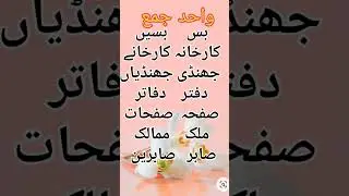 #singular plural for grade 5 in urdu#wahad jama #urdu #واحد #اردو #urdu main wahad jama