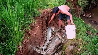 Unbelievable Underground Monster Catching Technique With Hand I Best Fishing Video