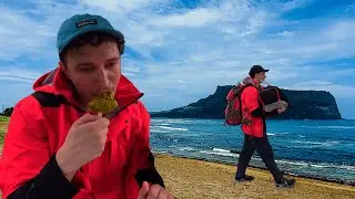 Моё приключение на острове ЧЕДЖУ 🍊 🏝️! 🇰🇷