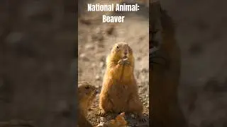 Canada | Basic Information in 60 Seconds