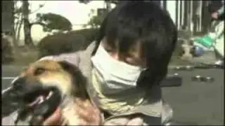 Tsunami dog Ban reunited with owner