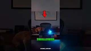 What Happened to the Cat in Captain Marvel? #captainmarvel
