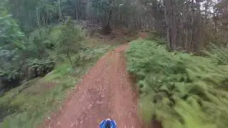Fletty and Benny Ride Nundle