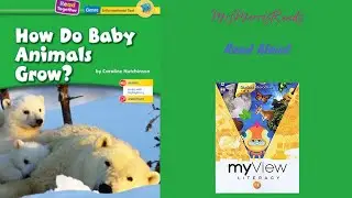 КАК РАСТУТ ДЕТЁНЁНКИ ЖИВОТНЫХ? MyView Literacy, первый класс, модуль 2, неделя 3, чтение вслух