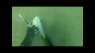 Pismo Clamming