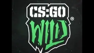 New CSGO-WILD!!!!!