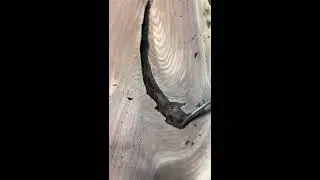 Super Satisfying Bark Removal!!
